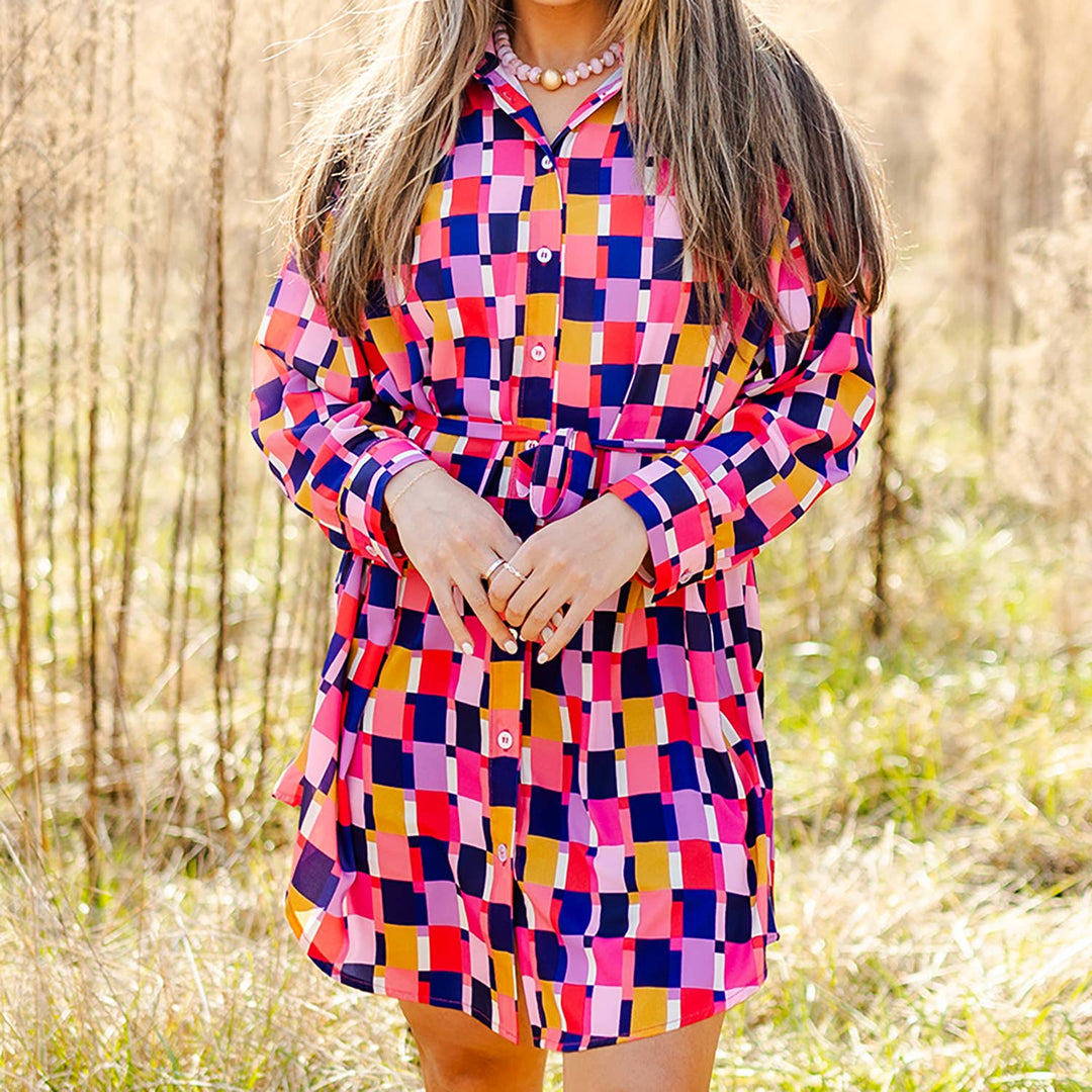 Tailored Tie - Waist Dress - Reg & Curvy - Lolo Viv Boutique