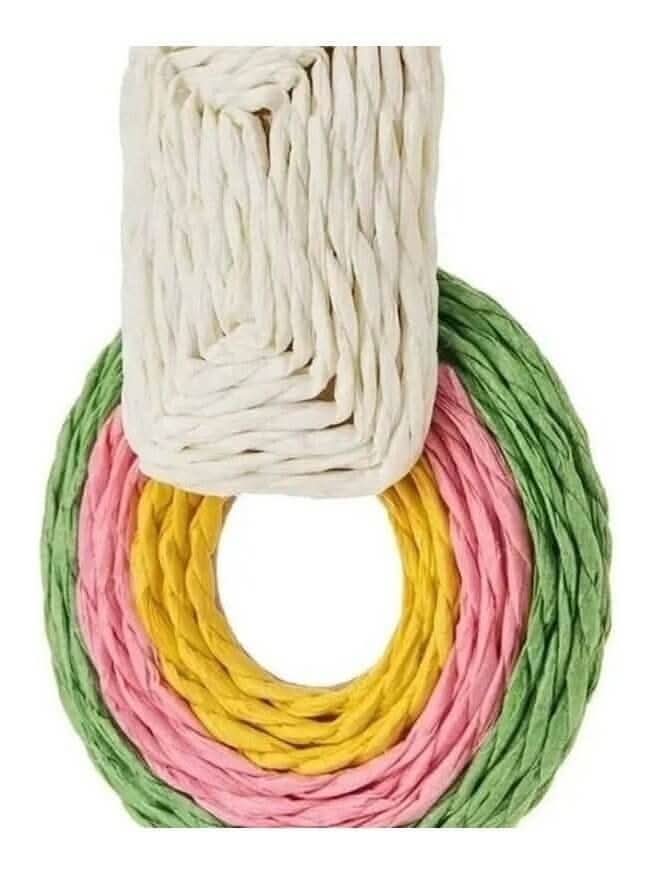 Rainbow Raffia Earrings - Lolo Viv Boutique