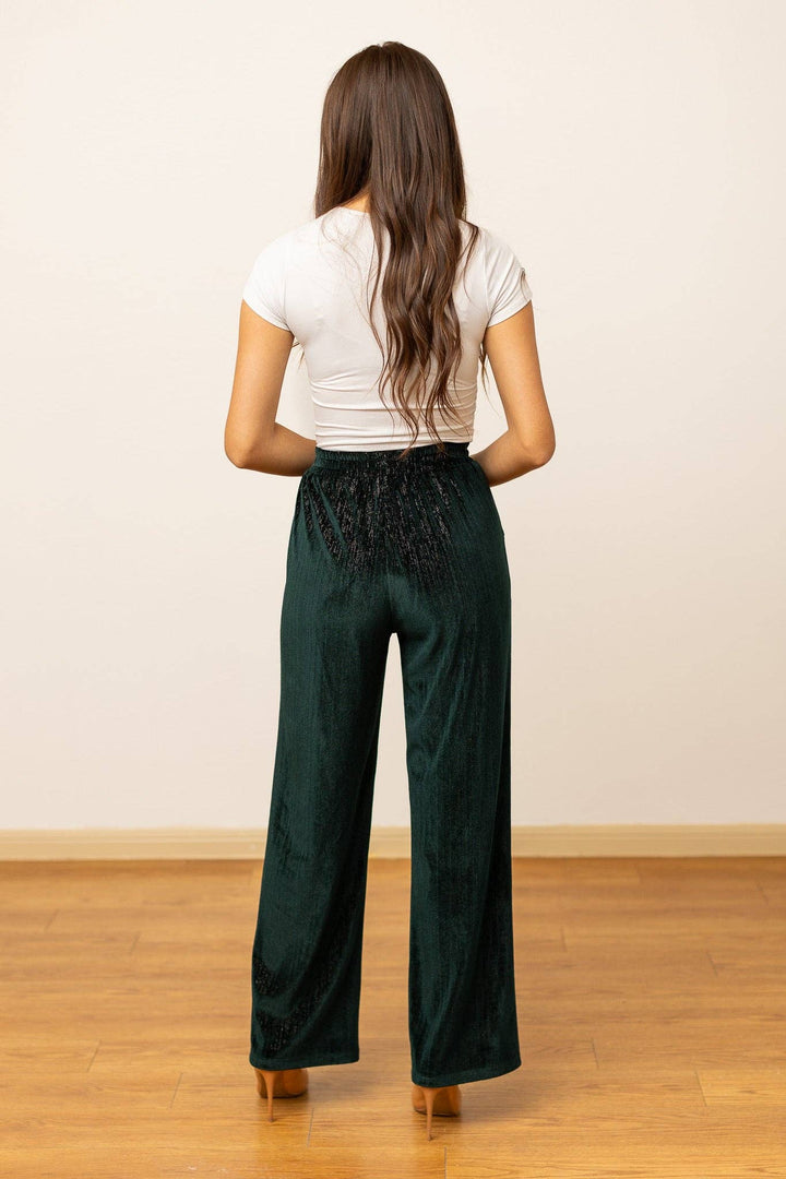 The Evergreen Glam Velvet Pants - Curvy