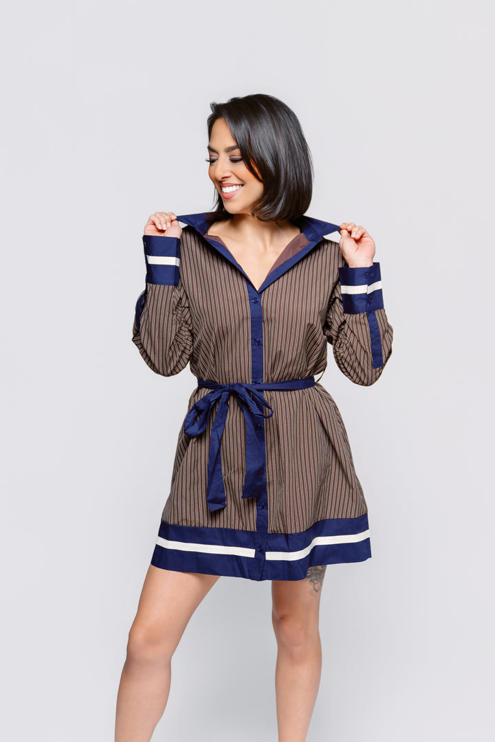 Brown & Navy Stripe Dress