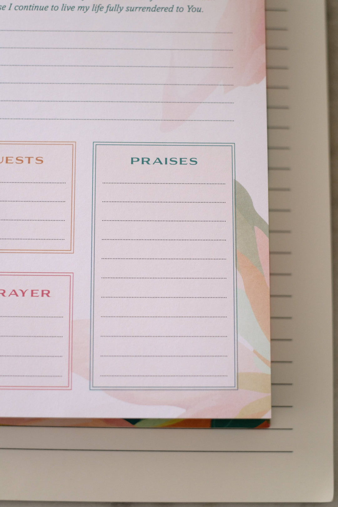 A Year of God's Goodness:A Prayer & Praise Tracker for Women