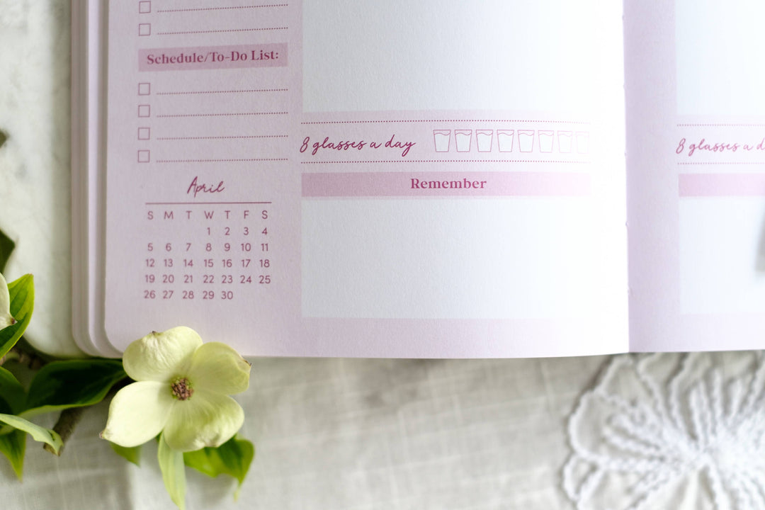 Read Through the Bible in a Year Planner: 2026 Edition