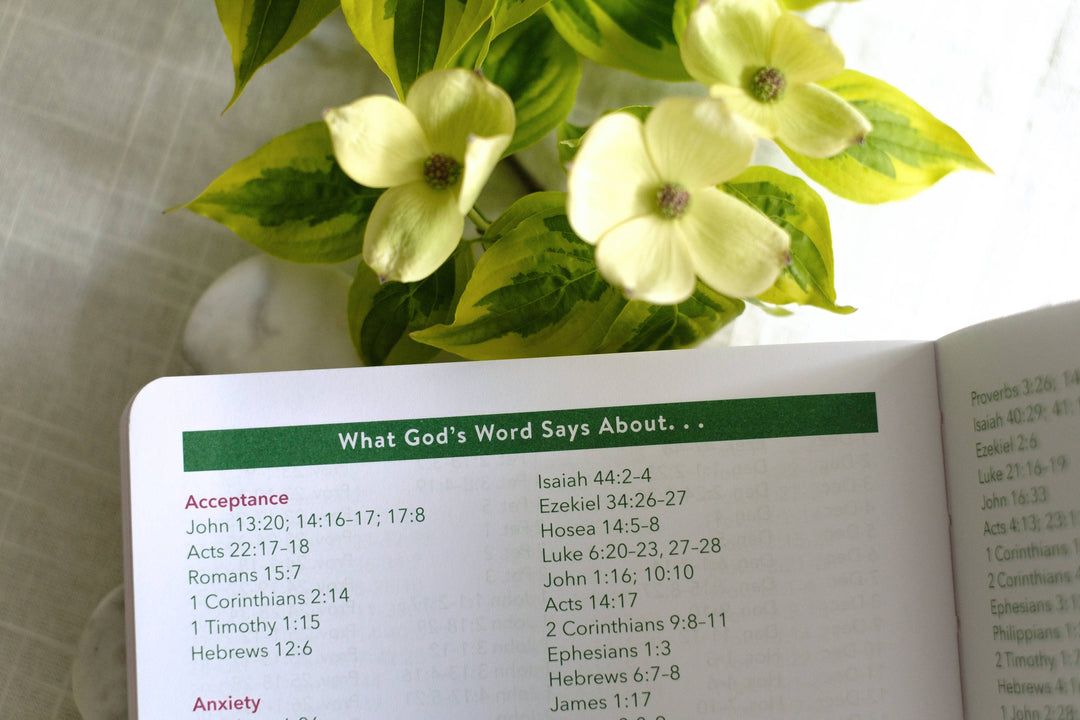 Read Through the Bible in a Year Planner: 2026 Edition