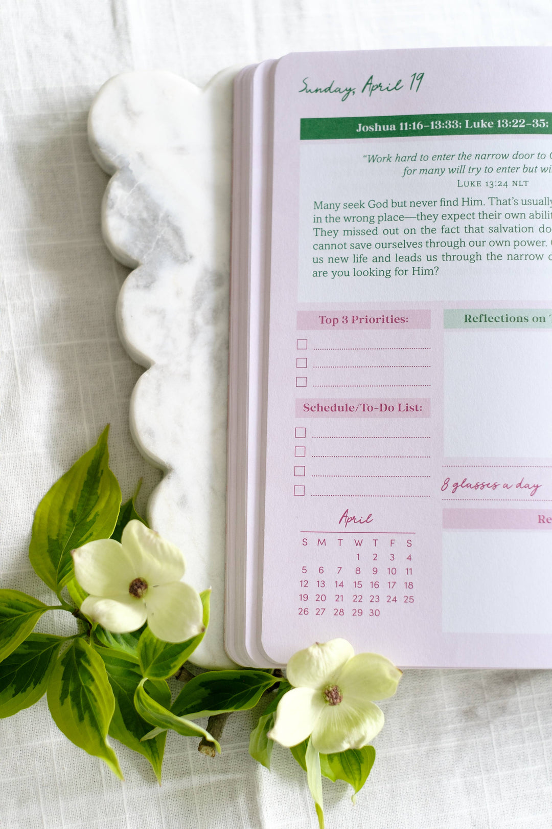 Read Through the Bible in a Year Planner: 2026 Edition